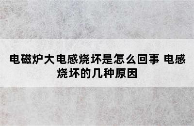 电磁炉大电感烧坏是怎么回事 电感烧坏的几种原因